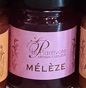Confiture de mélèze