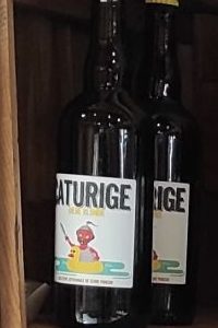 Caturige